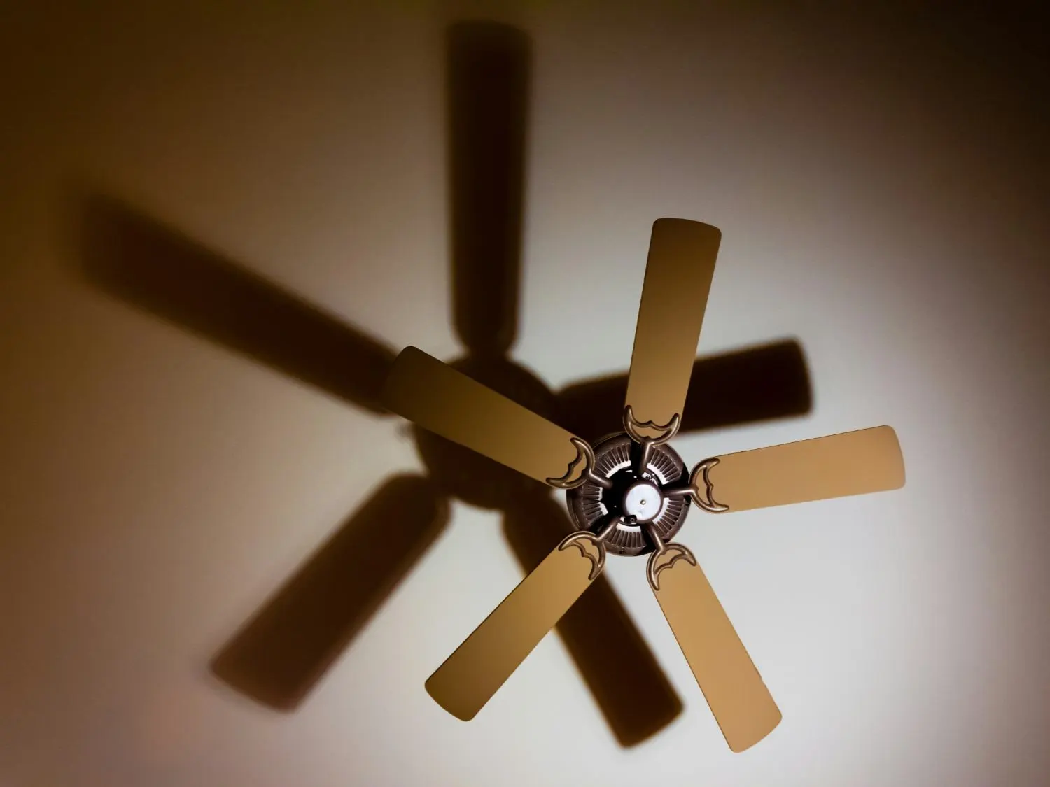 Ceiling Fan